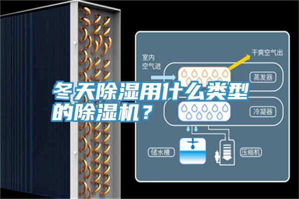 冬天除濕用什么類型的除濕機？