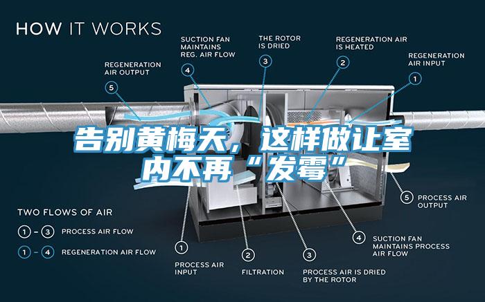 告別黃梅天，這樣做讓室內不再“發霉”