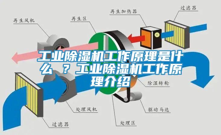 工業除濕機工作原理是什么 ？工業除濕機工作原理介紹