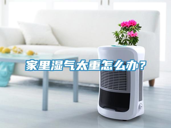 家里濕氣太重怎么辦？