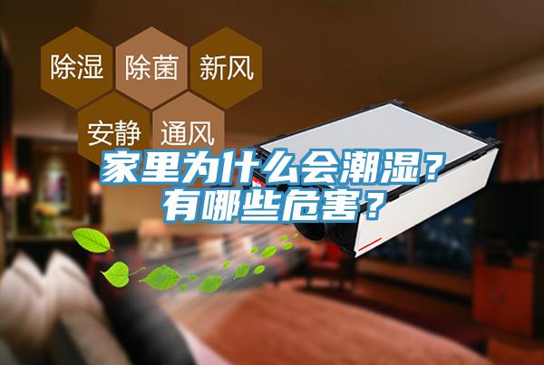 家里為什么會潮濕？有哪些危害？