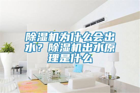 除濕機為什么會出水？除濕機出水原理是什么