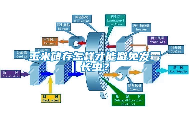 玉米儲(chǔ)存怎樣才能避免發(fā)霉長(zhǎng)蟲？