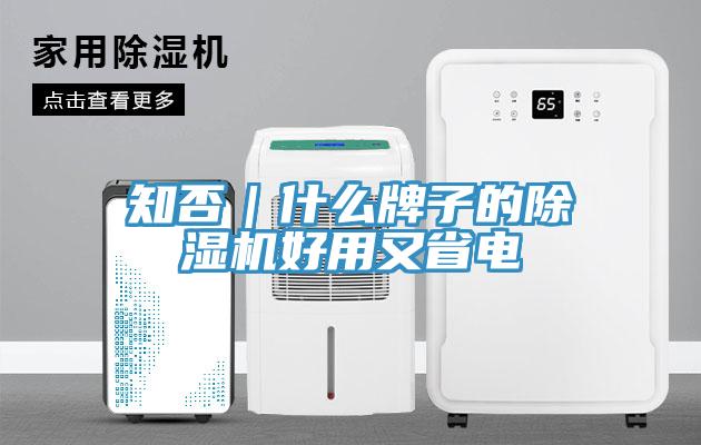 知否｜什么牌子的除濕機好用又省電