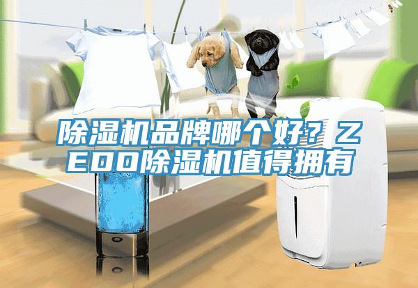 除濕機品牌哪個好？ZEDO除濕機值得擁有