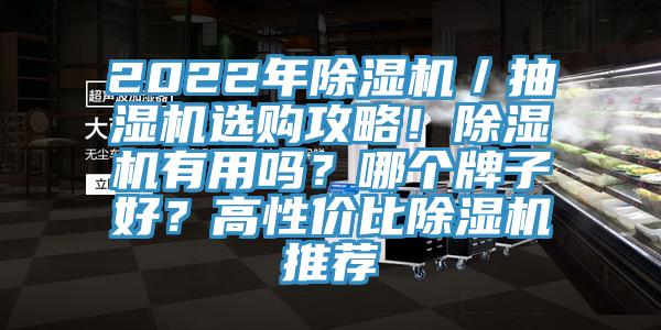 2022年除濕機／抽濕機選購攻略！除濕機有用嗎？哪個牌子好？高性價比除濕機推薦