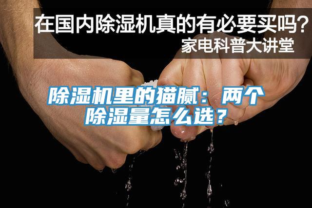 除濕機里的貓膩：兩個除濕量怎么選？