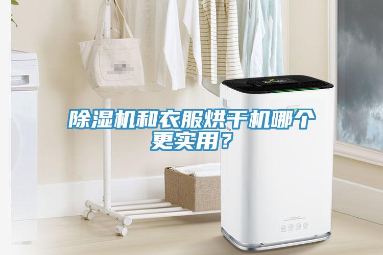 除濕機和衣服烘干機哪個更實用？