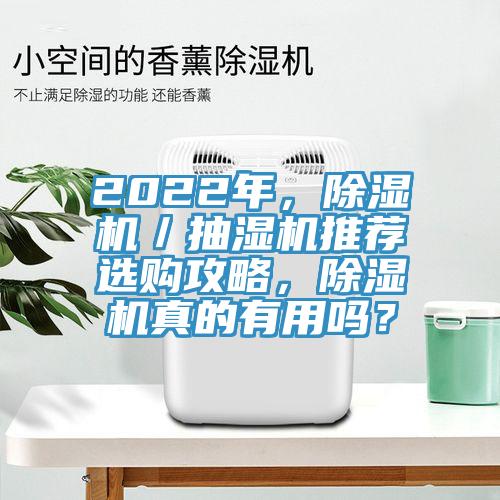 2022年，除濕機／抽濕機推薦選購攻略，除濕機真的有用嗎？