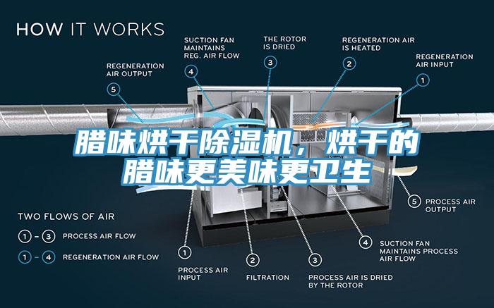 臘味烘干除濕機(jī)，烘干的臘味更美味更衛(wèi)生