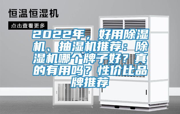 2022年，好用除濕機、抽濕機推薦：除濕機哪個牌子好？真的有用嗎？性價比品牌推薦