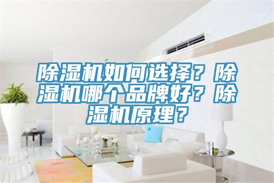 除濕機如何選擇？除濕機哪個品牌好？除濕機原理？