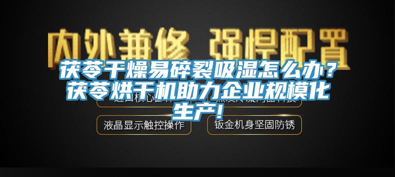 茯苓干燥易碎裂吸濕怎么辦？茯苓烘干機助力企業規模化生產!