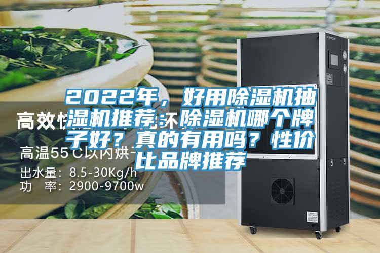 2022年，好用除濕機抽濕機推薦：除濕機哪個牌子好？真的有用嗎？性價比品牌推薦