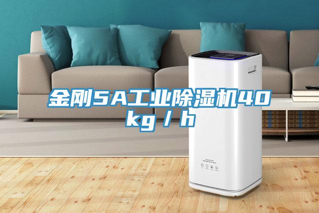 金剛5A工業除濕機40kg／h