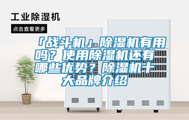 「戰(zhàn)斗機」除濕機有用嗎？使用除濕機還有哪些優(yōu)勢？除濕機十大品牌介紹