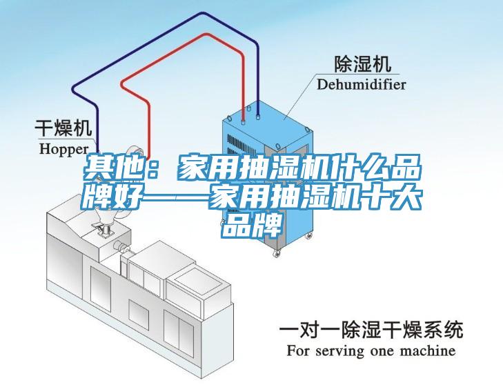 其他：家用抽濕機(jī)什么品牌好——家用抽濕機(jī)十大品牌