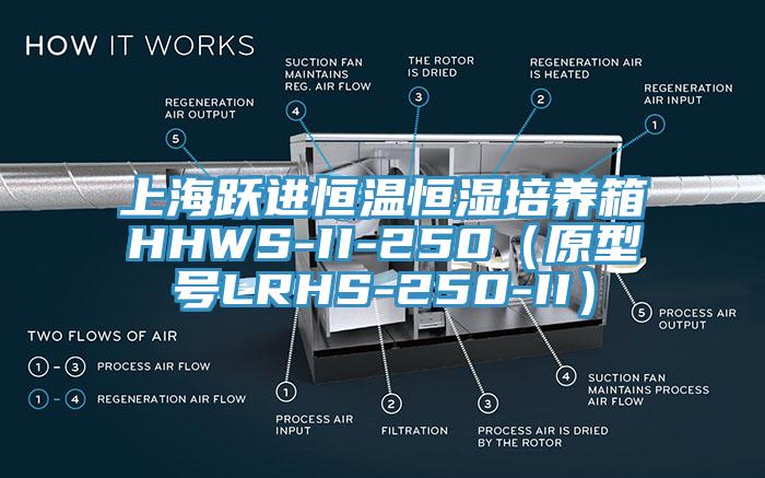 上海躍進恒溫恒濕培養箱HHWS-II-250（原型號LRHS-250-II）