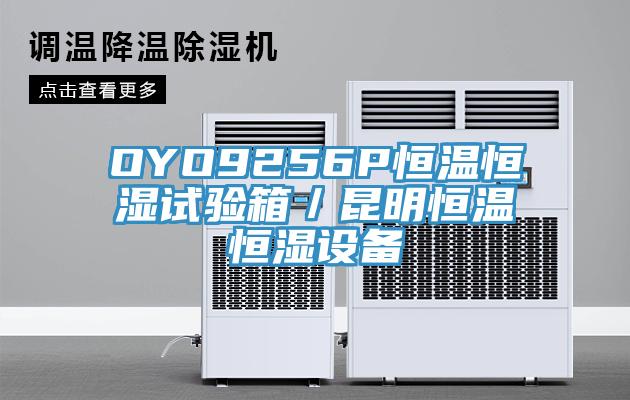 OYO9256P恒溫恒濕試驗(yàn)箱／昆明恒溫恒濕設(shè)備