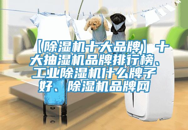 【除濕機(jī)十大品牌】十大抽濕機(jī)品牌排行榜、工業(yè)除濕機(jī)什么牌子好、除濕機(jī)品牌網(wǎng)