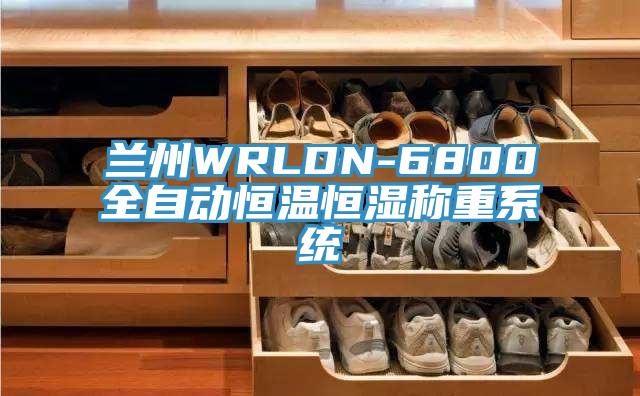 蘭州WRLDN-6800全自動恒溫恒濕稱重系統