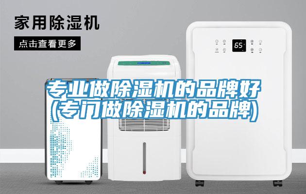 專業做除濕機的品牌好(專門做除濕機的品牌)