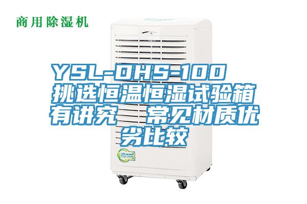 YSL-DHS-100  挑選恒溫恒濕試驗箱有講究  常見材質優劣比較