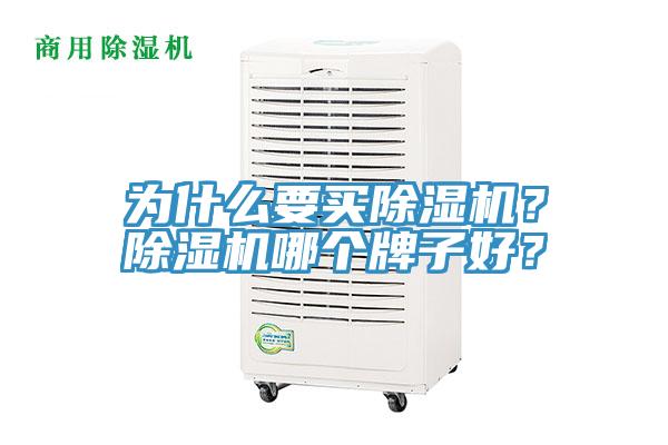 為什么要買除濕機？除濕機哪個牌子好？