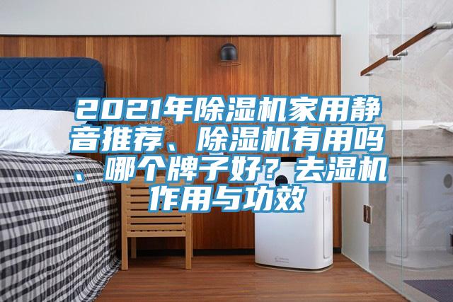 2021年除濕機家用靜音推薦、除濕機有用嗎、哪個牌子好？去濕機作用與功效