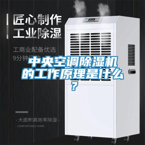 中央空調(diào)除濕機(jī)的工作原理是什么？