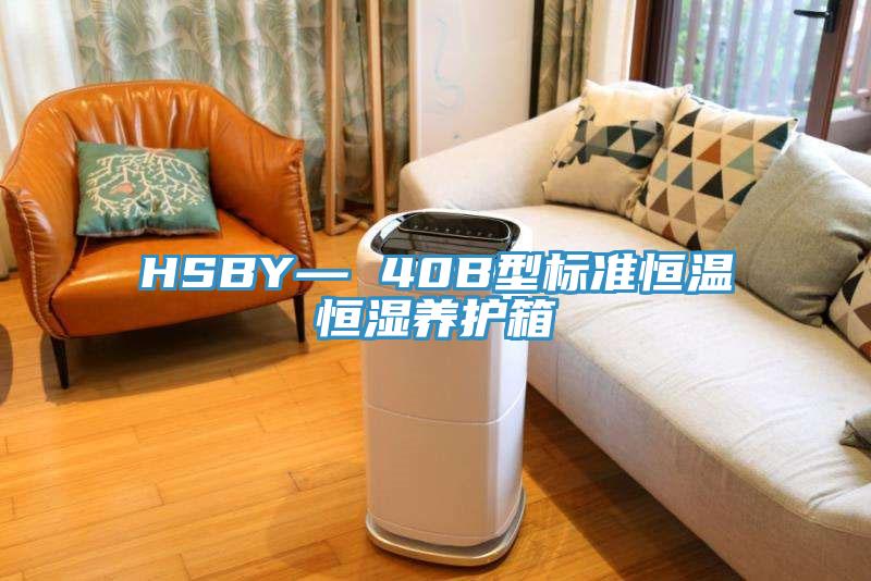 HSBY— 40B型標準恒溫恒濕養護箱