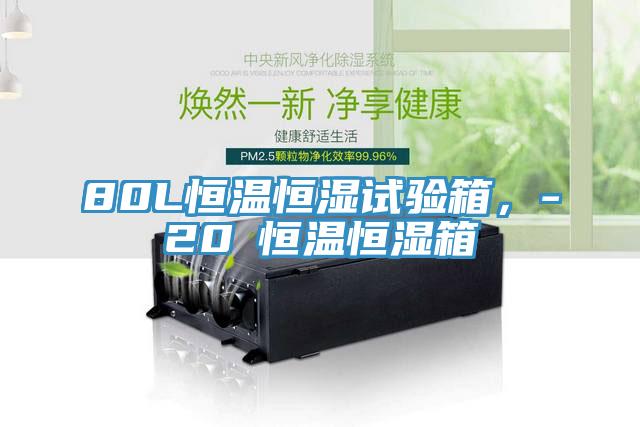 80L恒溫恒濕試驗箱，-20℃恒溫恒濕箱