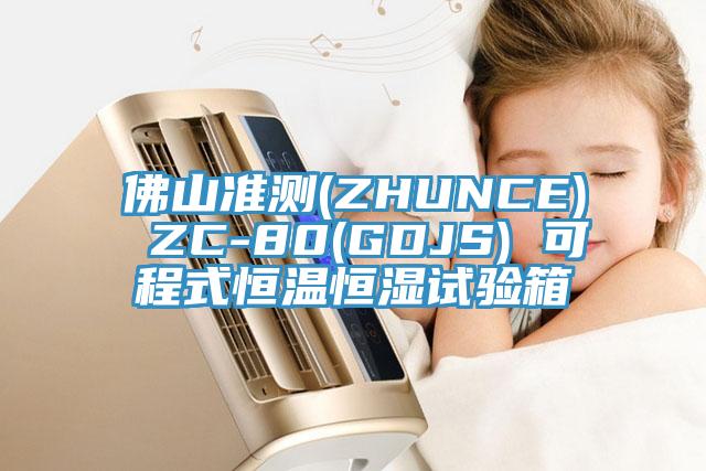 佛山準(zhǔn)測(cè)(ZHUNCE) ZC-80(GDJS) 可程式恒溫恒濕試驗(yàn)箱