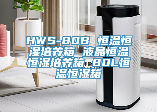 HWS-80B 恒溫恒濕培養箱 液晶恒溫恒濕培養箱 80L恒溫恒濕箱