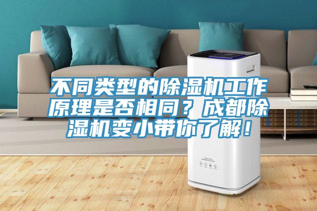 不同類型的除濕機工作原理是否相同？成都除濕機變小帶你了解！