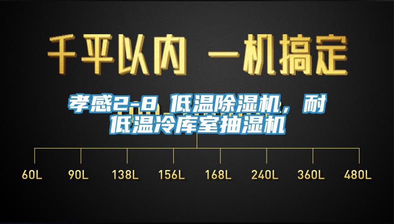 孝感2-8℃低溫除濕機，耐低溫冷庫室抽濕機