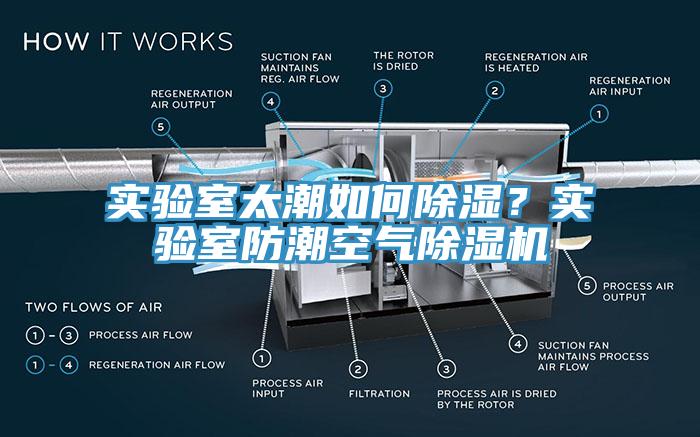 實驗室太潮如何除濕？實驗室防潮空氣除濕機