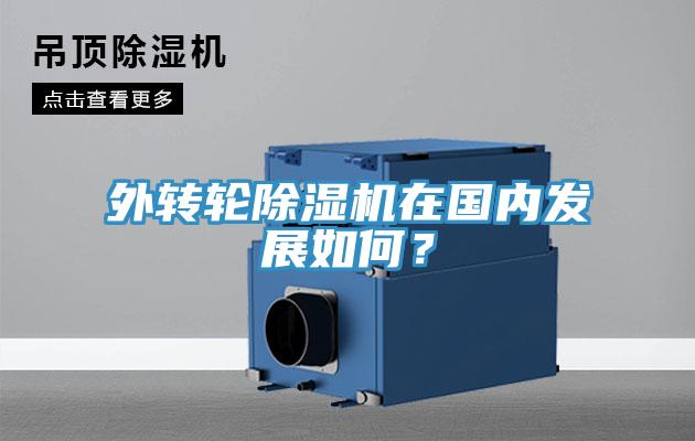 外轉輪除濕機在國內發展如何？