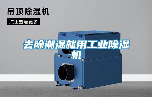 去除潮濕就用工業除濕機