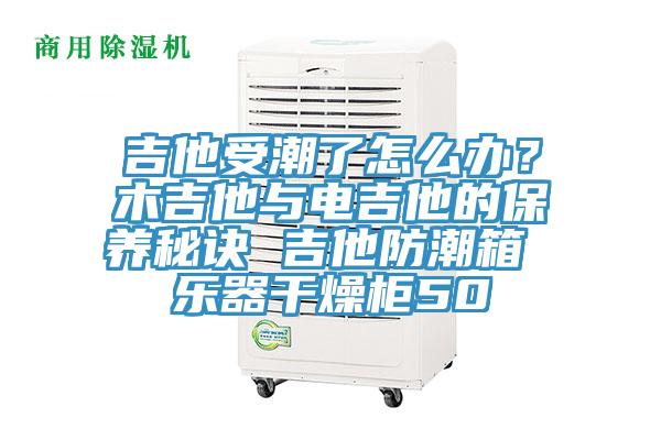 吉他受潮了怎么辦？木吉他與電吉他的保養(yǎng)秘訣 吉他防潮箱 樂(lè)器干燥柜50