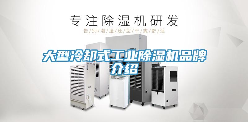 大型冷卻式工業(yè)除濕機品牌介紹