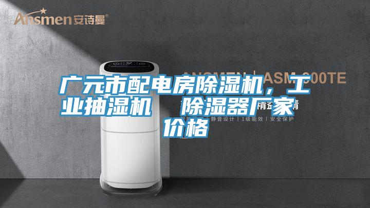 廣元市配電房除濕機，工業(yè)抽濕機  除濕器廠家 價格