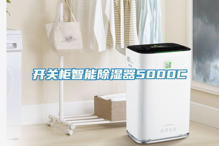 開關(guān)柜智能除濕器5000C