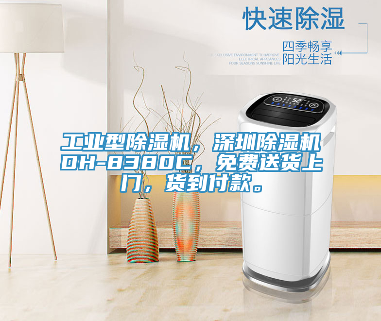 工業(yè)型除濕機(jī)，深圳除濕機(jī)DH-8380C，免費(fèi)送貨上門，貨到付款。