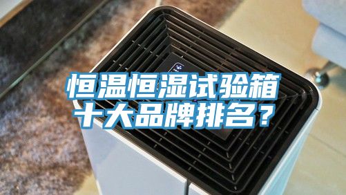 恒溫恒濕試驗(yàn)箱十大品牌排名？