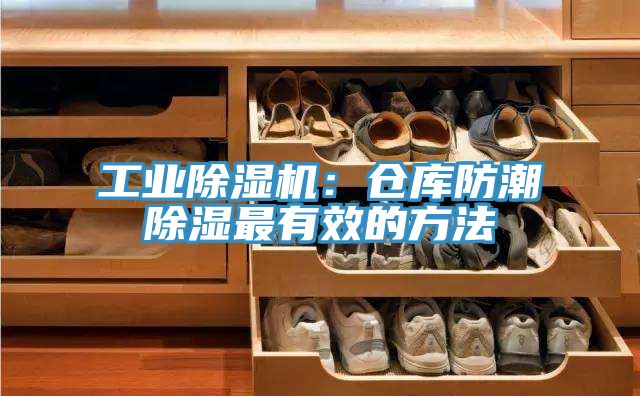 工業(yè)除濕機(jī)：倉(cāng)庫(kù)防潮除濕最有效的方法