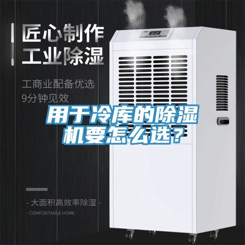 用于冷庫的除濕機(jī)要怎么選？