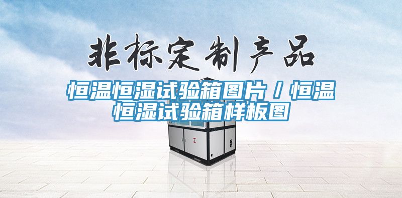 恒溫恒濕試驗箱圖片／恒溫恒濕試驗箱樣板圖