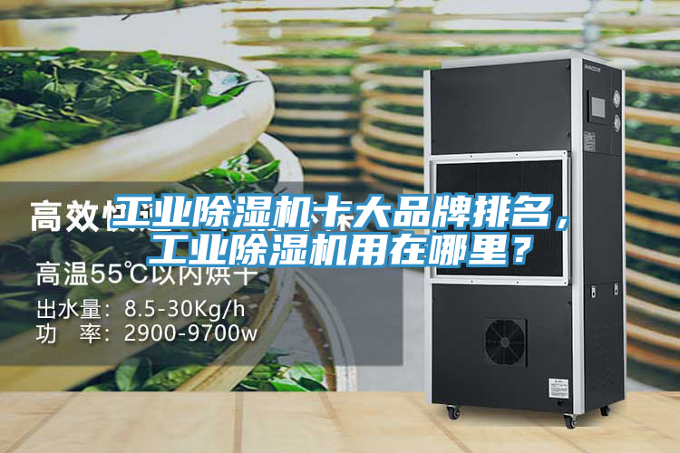 工業(yè)除濕機(jī)十大品牌排名，工業(yè)除濕機(jī)用在哪里？