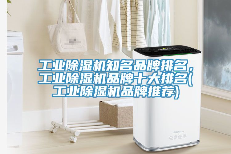 工業除濕機知名品牌排名，工業除濕機品牌十大排名(工業除濕機品牌推薦)